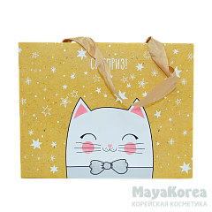 Пакет—коробка «Сюрприз!», 23 х18 х11 см 4295851