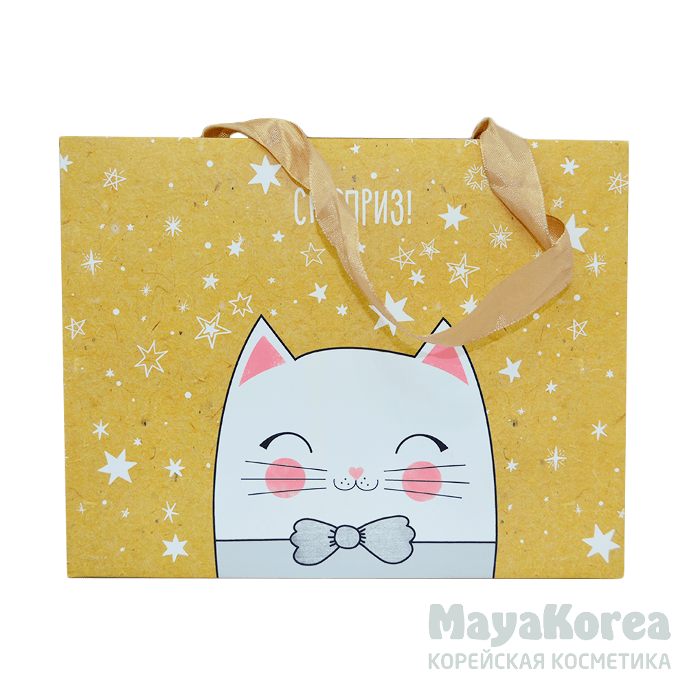 Пакет—коробка «Сюрприз!», 23 х18 х11 см 4295851