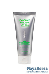 DR.REBORN Очищающий гель с экзосомами для лица EXOSOME HEARTLEAF REPAIR CLEANSER (150 мл)